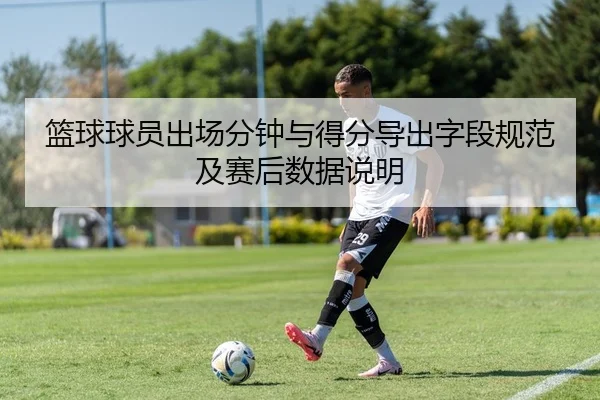 篮球球员出场分钟与得分导出字段规范及赛后数据说明